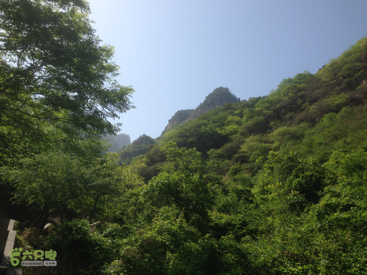 永济五老峰徒步2013-04-26 10:00:34