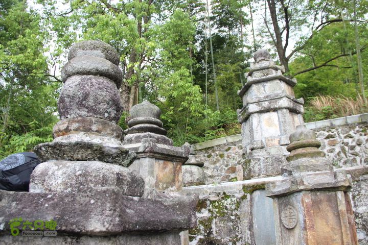 禅都谒仰山栖隐寺，观山水登顶集云峰IMG_2731