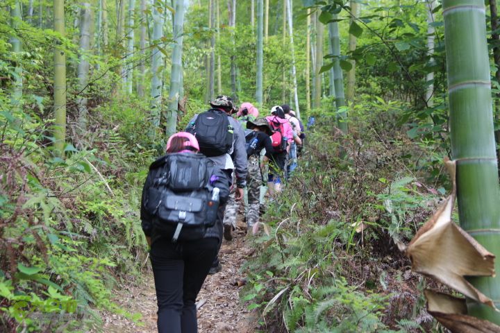 禅都谒仰山栖隐寺，观山水登顶集云峰IMG_2737