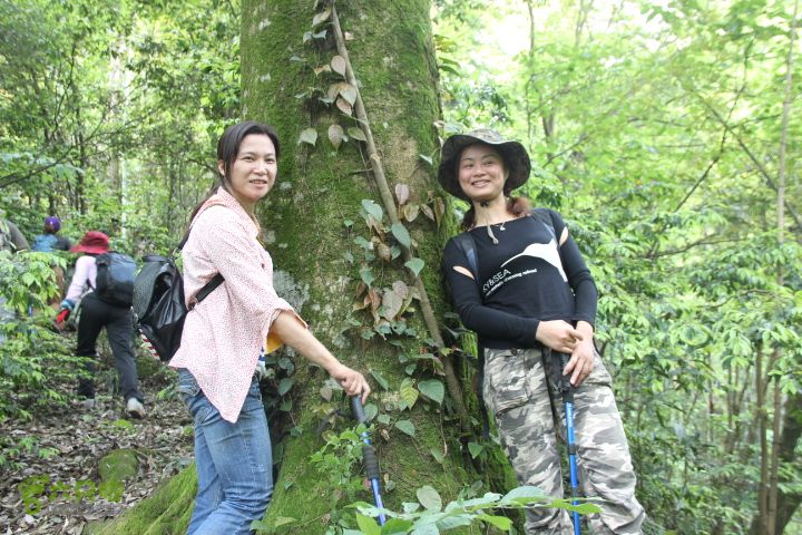 禅都谒仰山栖隐寺，观山水登顶集云峰IMG_2770