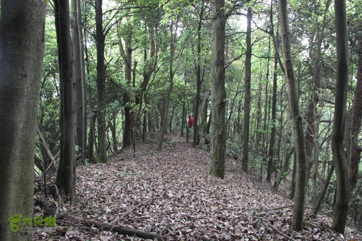 禅都谒仰山栖隐寺，观山水登顶集云峰IMG_2814