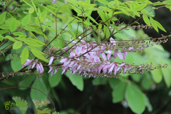 禅都谒仰山栖隐寺，观山水登顶集云峰IMG_2838