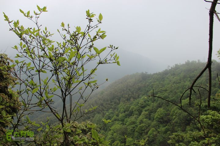 禅都谒仰山栖隐寺，观山水登顶集云峰IMG_2839