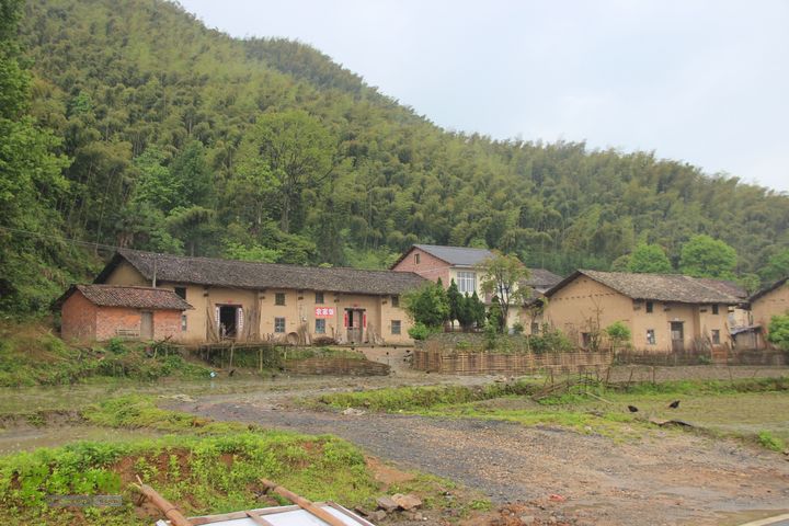 禅都谒仰山栖隐寺，观山水登顶集云峰IMG_2869