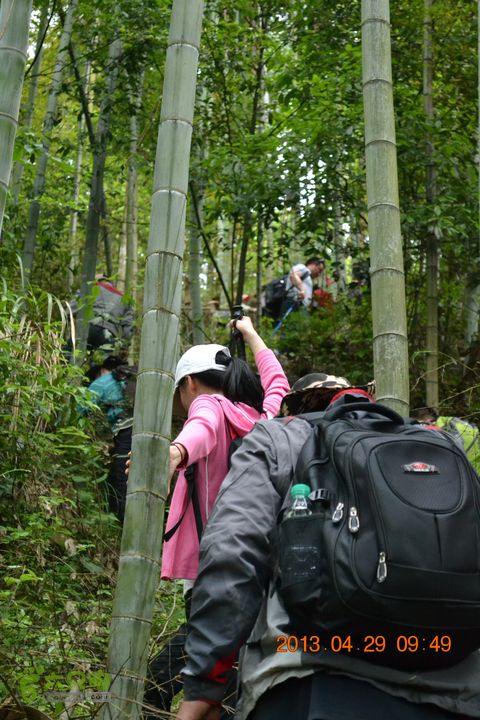 禅都谒仰山栖隐寺，观山水登顶集云峰DSC_0085