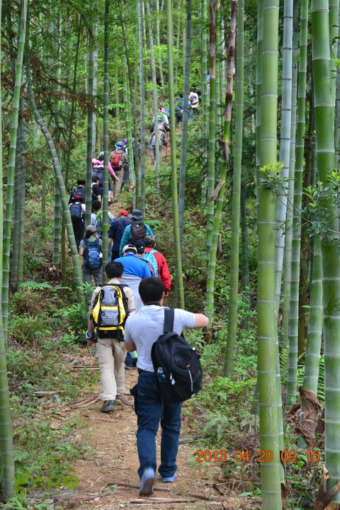 禅都谒仰山栖隐寺，观山水登顶集云峰DSC_0080