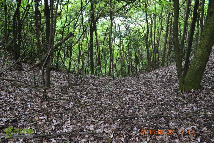 禅都谒仰山栖隐寺，观山水登顶集云峰DSC_0162