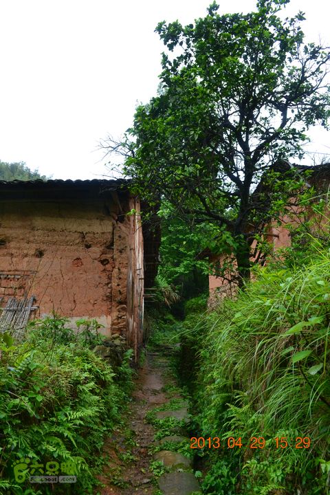 禅都谒仰山栖隐寺，观山水登顶集云峰DSC_0240