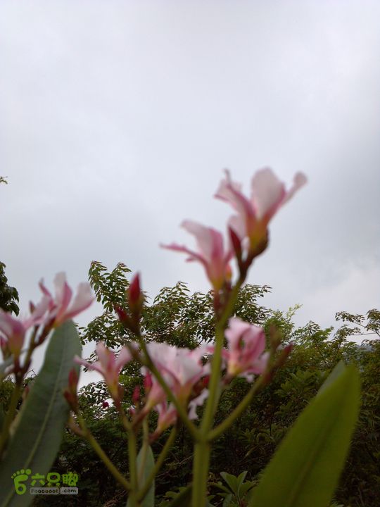 2号绿道观音山2013-04-29_10-18-24_380