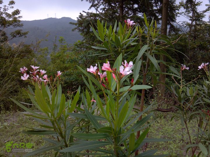 2号绿道观音山2013-04-29_10-17-59_521