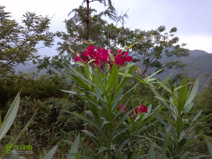 2号绿道观音山2013-04-29_10-18-05_12