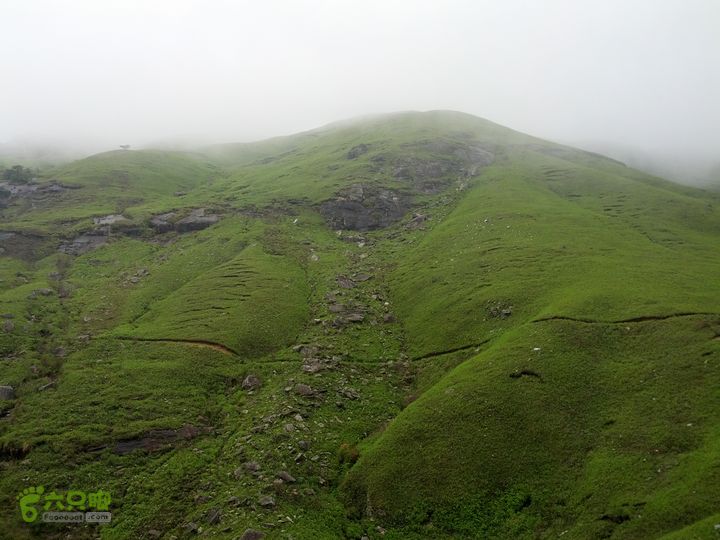 江西武功山_龙山村-沈子村IMG_20130504_135604