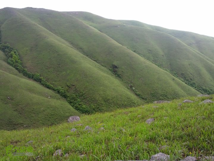 江西武功山_龙山村-沈子村IMG_20130505_105910
