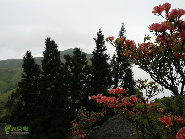 江西武功山_龙山村-沈子村IMG_20130505_110327