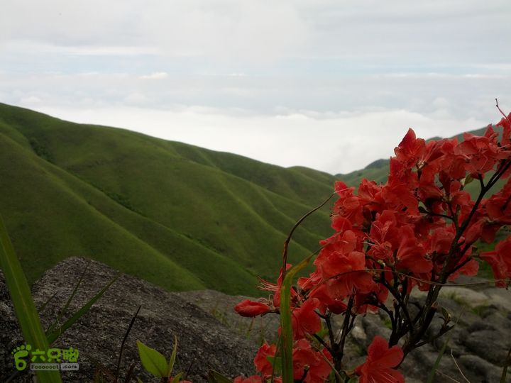 江西武功山_龙山村-沈子村IMG_20130505_110418