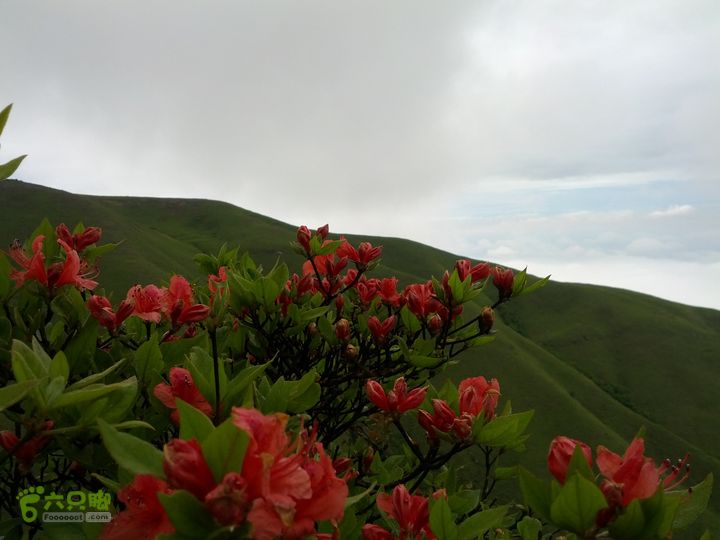 江西武功山_龙山村-沈子村IMG_20130505_110434