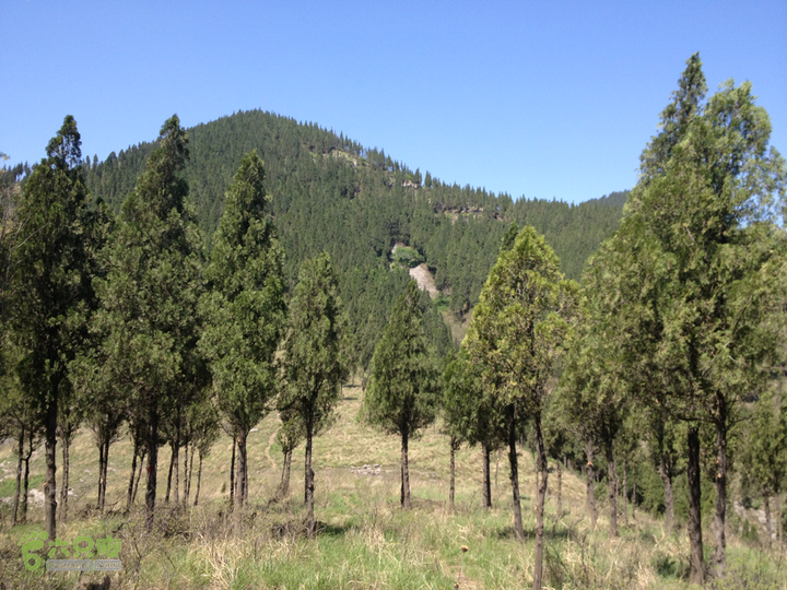 田庄水库土峪村前面就是摘星山