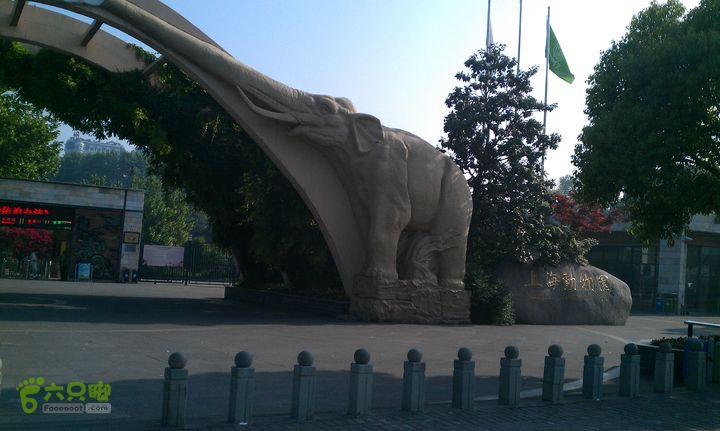 淀山湖一日来回骑行上海动物园