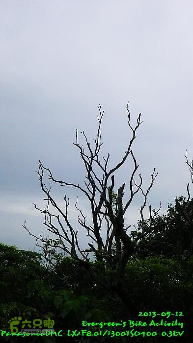 2013 05 12 中、西、上環，華富村、薄扶林古跡之旅P1540860