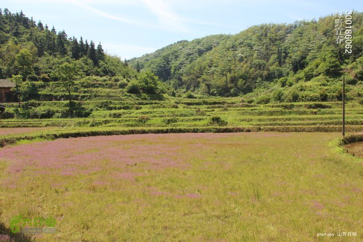游天台寺，走天子江，探天子洞，龙潜飞剑潭 绿野宜春游天子江 10_44_01112