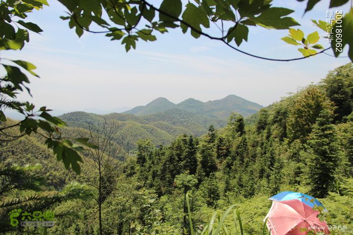 游天台寺，走天子江，探天子洞，龙潜飞剑潭 绿野宜春游天子江 11_57_13121