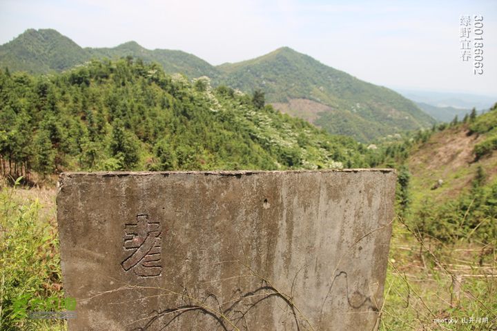 游天台寺，走天子江，探天子洞，龙潜飞剑潭 绿野宜春游天子江 12_55_35122