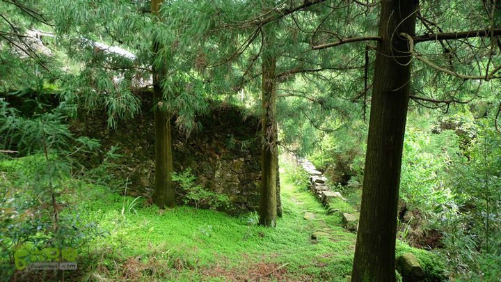 盘古楼尖穿越(桐岭-岷岗)盘古楼林场