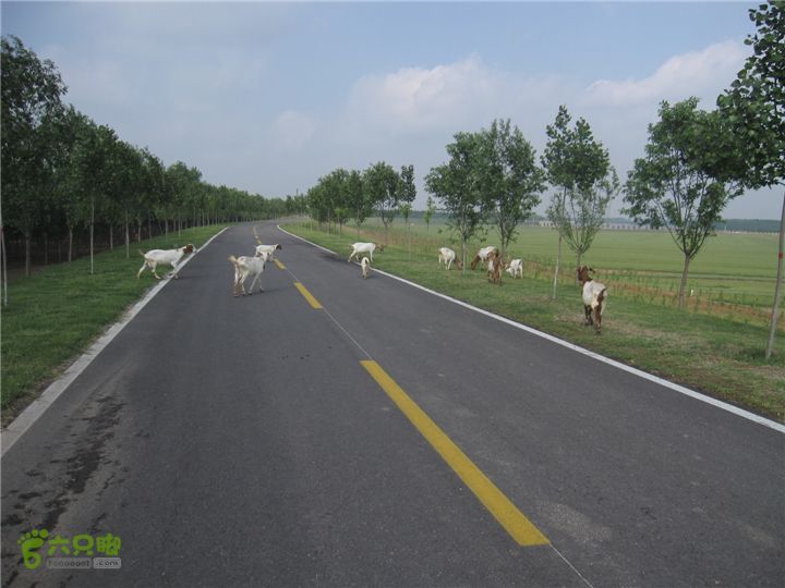 骑行探访辛弃疾故居，绕遥墙机场再走黄河大堤IMG_0249