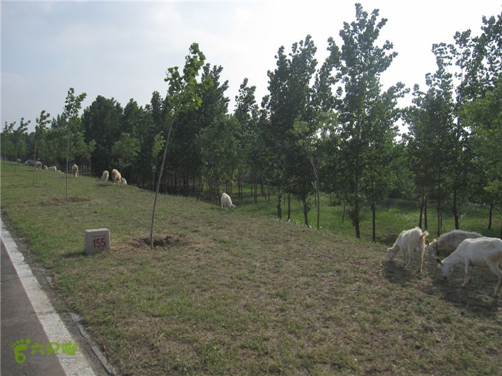 骑行探访辛弃疾故居，绕遥墙机场再走黄河大堤IMG_0251