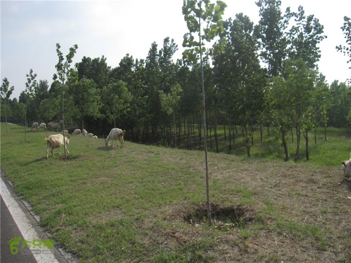 骑行探访辛弃疾故居，绕遥墙机场再走黄河大堤IMG_0252