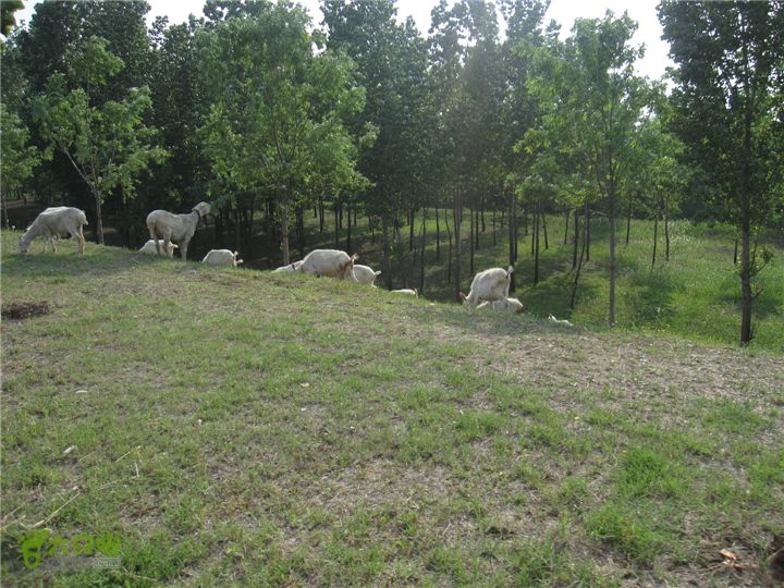 骑行探访辛弃疾故居，绕遥墙机场再走黄河大堤IMG_0253