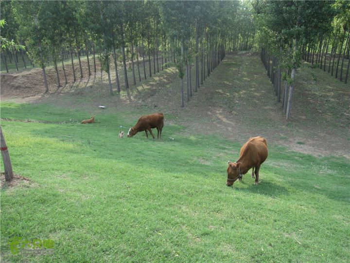 骑行探访辛弃疾故居，绕遥墙机场再走黄河大堤IMG_0255