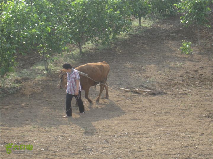 骑行探访辛弃疾故居，绕遥墙机场再走黄河大堤IMG_0258
