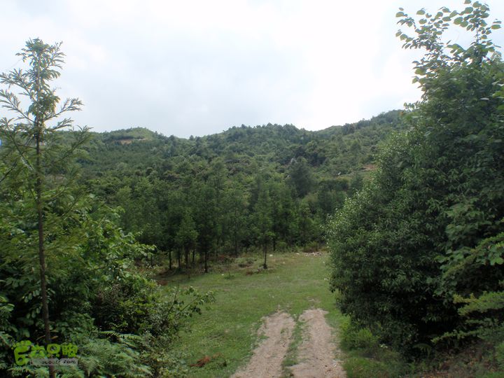 贵州六盘水－乌沙寨2013-05-18_15-44-54