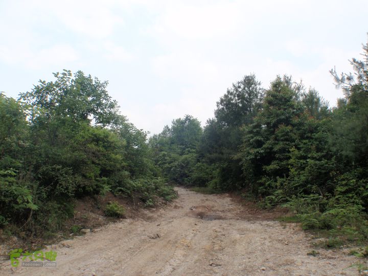 贵州六盘水－乌沙寨2013-05-18_15-50-41