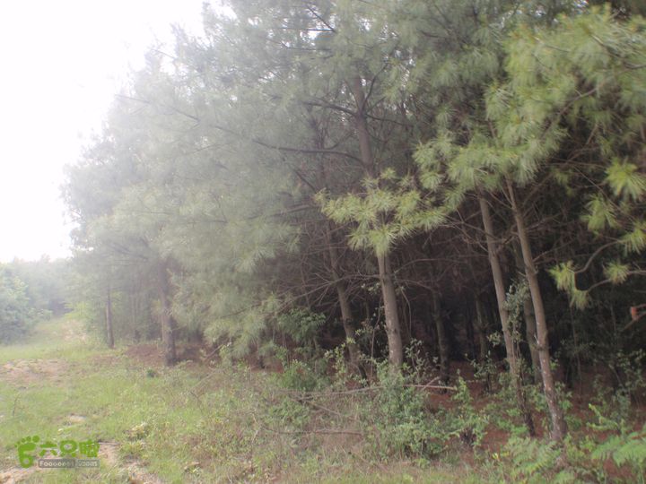 贵州六盘水－乌沙寨2013-05-18_16-37-34