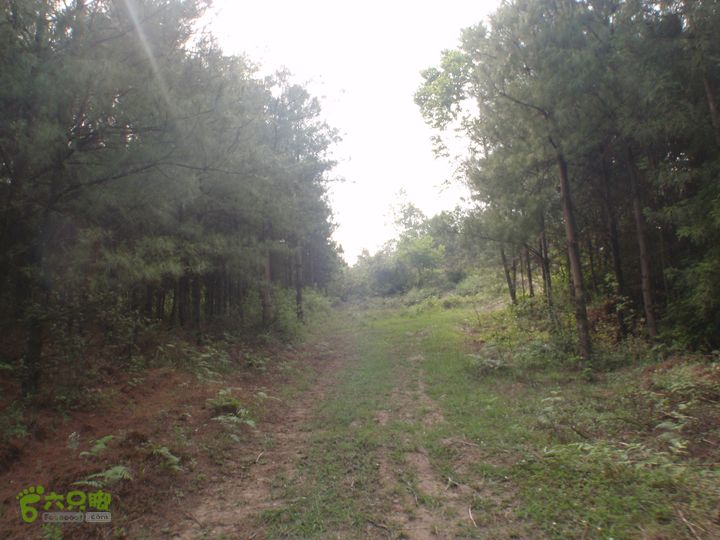 贵州六盘水－乌沙寨2013-05-18_16-39-09