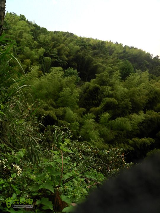 黄岩飞鹰道DSC00163