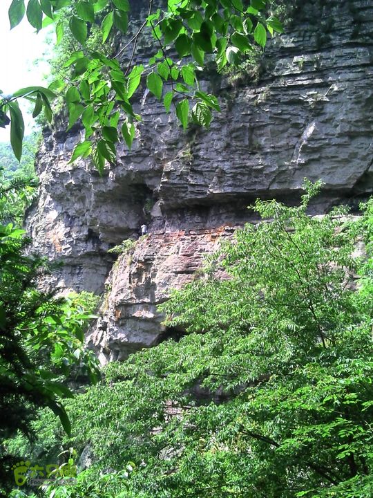 黄岩飞鹰道DSC00169