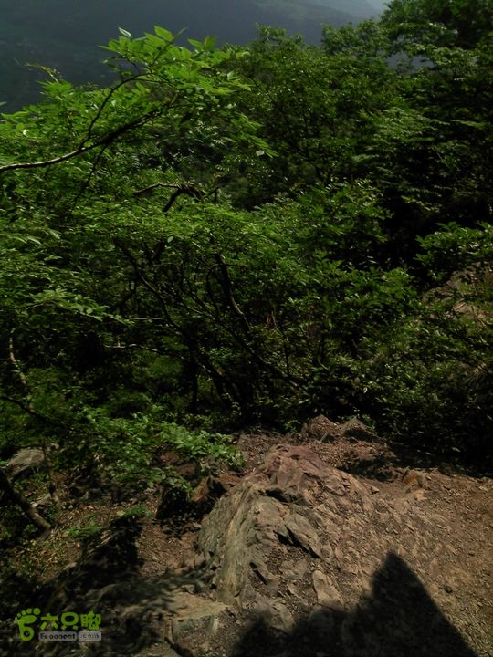 黄岩飞鹰道DSC00178