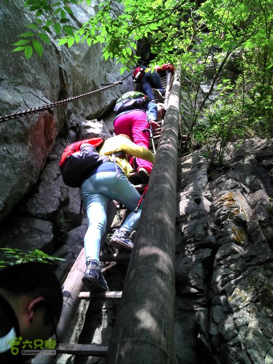 黄岩飞鹰道DSC00181