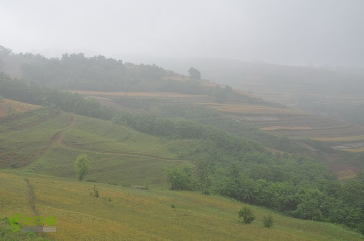 蓝田-李后乡-新房街村-三官庙-小金-铁炉-临潼DSC_0057