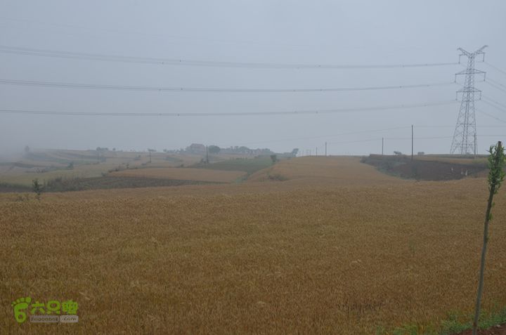 蓝田-李后乡-新房街村-三官庙-小金-铁炉-临潼DSC_0060