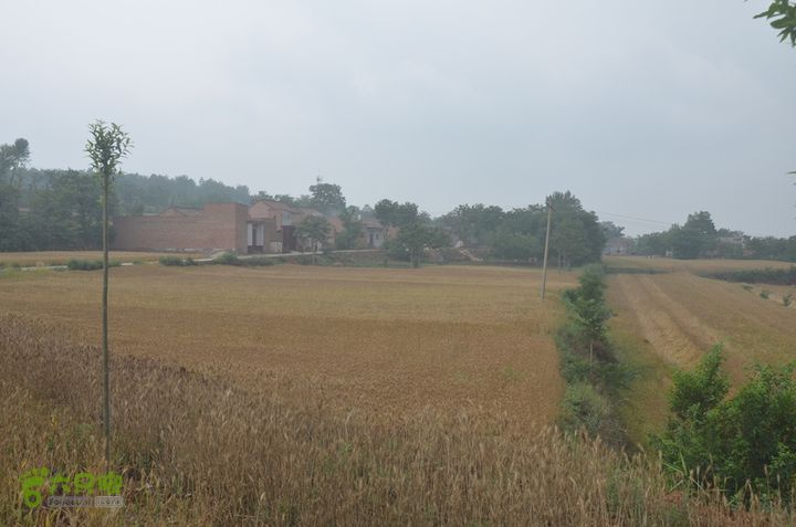 蓝田-李后乡-新房街村-三官庙-小金-铁炉-临潼DSC_0073