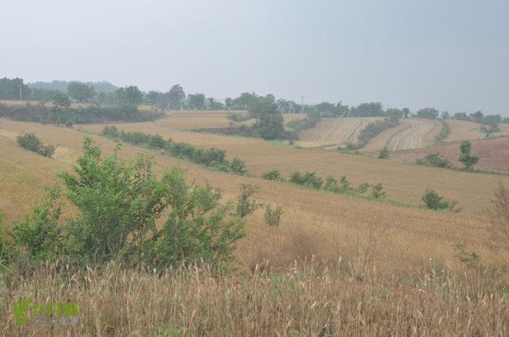 蓝田-李后乡-新房街村-三官庙-小金-铁炉-临潼DSC_0074