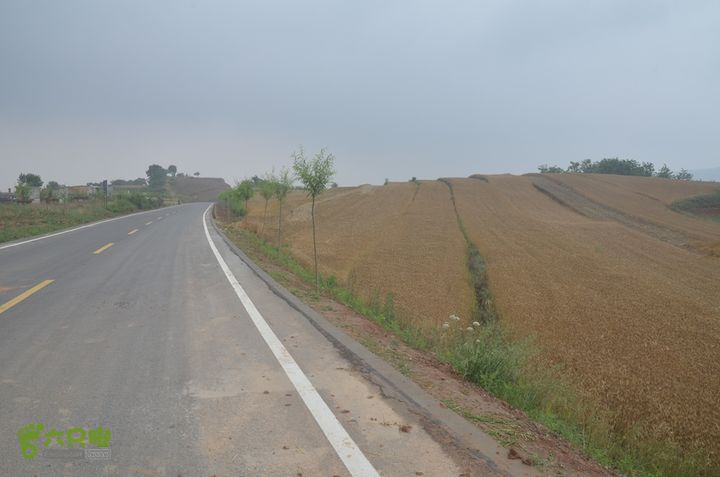 蓝田-李后乡-新房街村-三官庙-小金-铁炉-临潼DSC_0075