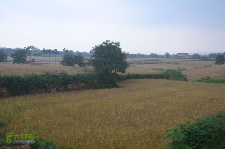 蓝田-李后乡-新房街村-三官庙-小金-铁炉-临潼DSC_0079