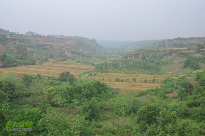 蓝田-李后乡-新房街村-三官庙-小金-铁炉-临潼DSC_0085