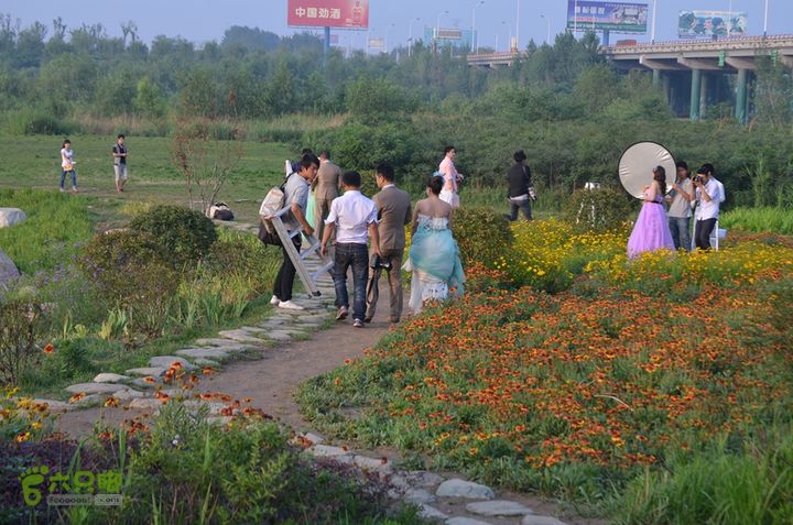 蓝田-李后乡-新房街村-三官庙-小金-铁炉-临潼DSC_0105