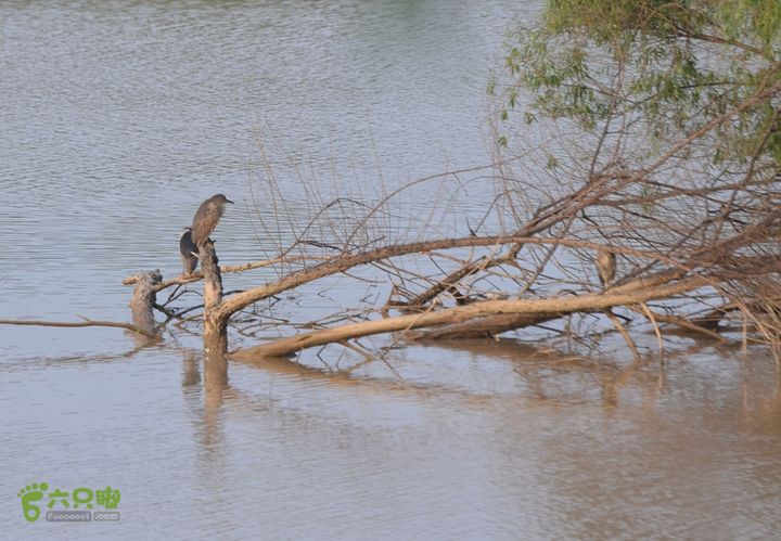 蓝田-李后乡-新房街村-三官庙-小金-铁炉-临潼DSC_0106